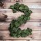 6-Foot Magnolia Leaf Christmas Garland with Realistic Silk Leaves - 2-Pack, Elegant Greenery for Home Décor & Event Styling - Year-Round Charm, Floral Home by Artificial Flowers